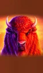 Buffalo 50